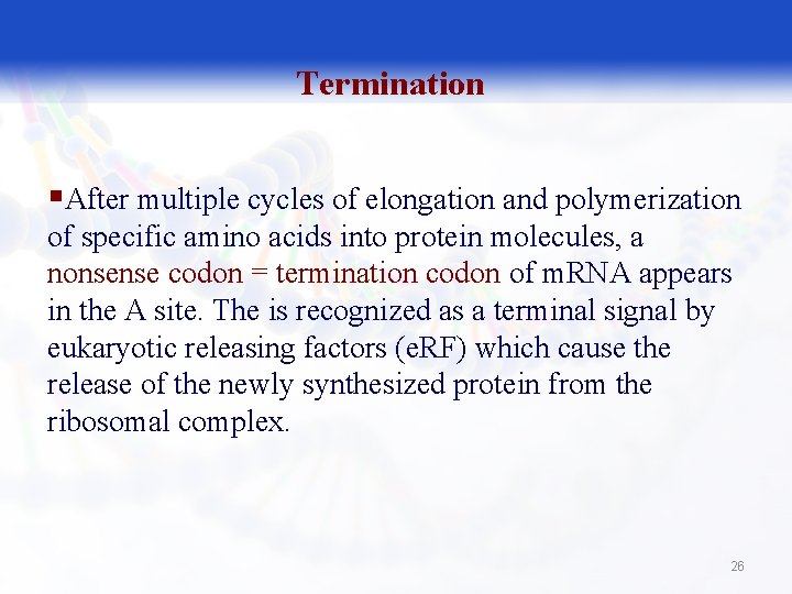 Termination §After multiple cycles of elongation and polymerization of specific amino acids into protein