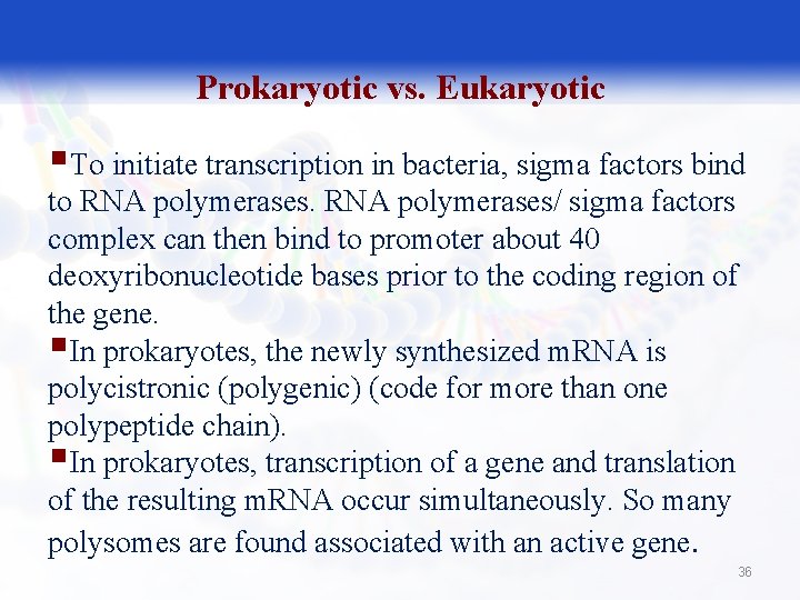 Prokaryotic vs. Eukaryotic §To initiate transcription in bacteria, sigma factors bind to RNA polymerases/