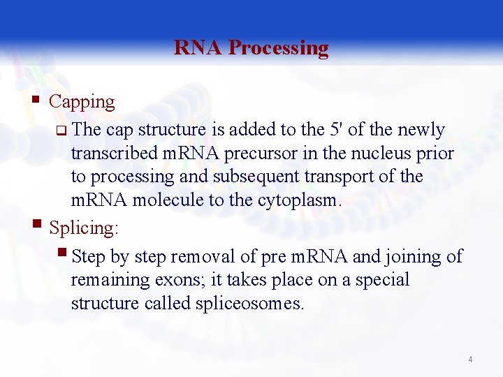 RNA Processing § Capping q The cap structure is added to the 5' of