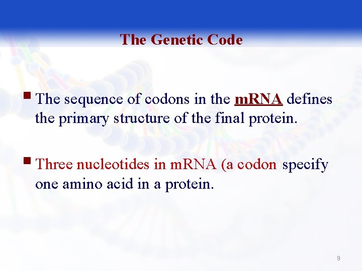 The Genetic Code § The sequence of codons in the m. RNA defines the