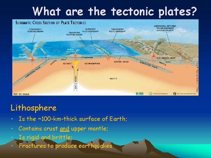 What are the tectonic plates? Lithosphere • Is the ~100 -km-thick surface of Earth;