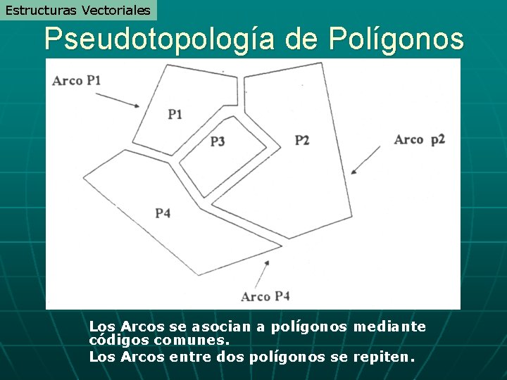 Estructuras Vectoriales Pseudotopología de Polígonos Los Arcos se asocian a polígonos mediante códigos comunes. Estructuras Vectoriales Pseudotopología de Polígonos Los Arcos se asocian a polígonos mediante códigos comunes.