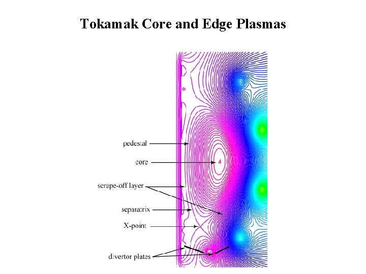 Tokamak Core and Edge Plasmas 