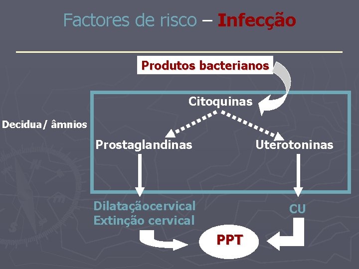 Factores de risco – Infecção _______________ Produtos bacterianos Citoquinas Decidua/ âmnios Prostaglandinas Uterotoninas Dilataçãocervical