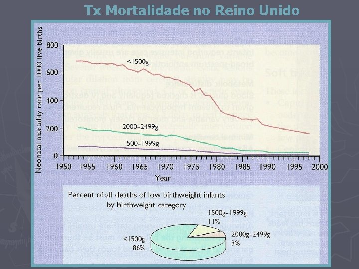 Tx Mortalidade no Reino Unido 