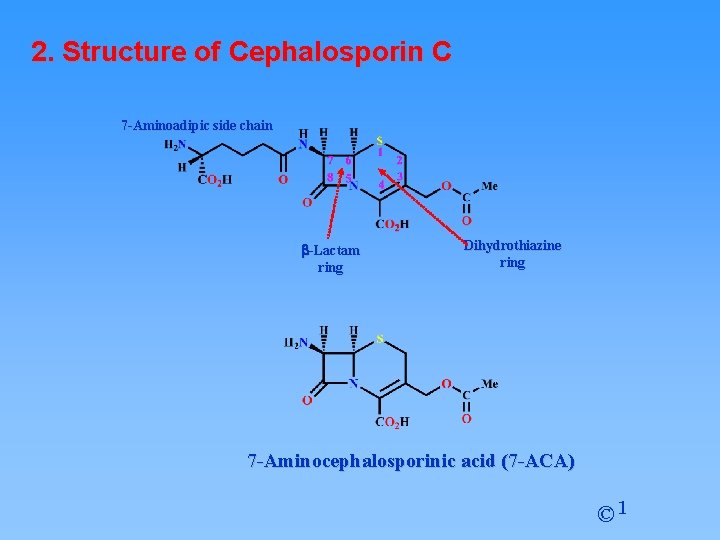 2. Structure of Cephalosporin C 7 -Aminoadipic side chain b-Lactam ring Dihydrothiazine ring 7