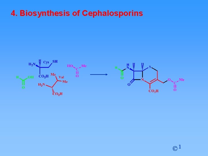 4. Biosynthesis of Cephalosporins © 1 