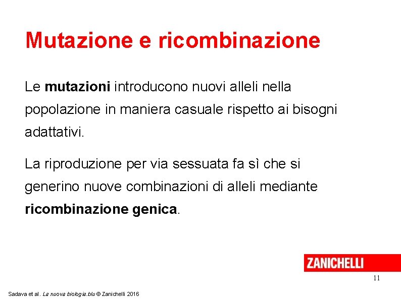 Mutazione e ricombinazione Le mutazioni introducono nuovi alleli nella popolazione in maniera casuale rispetto