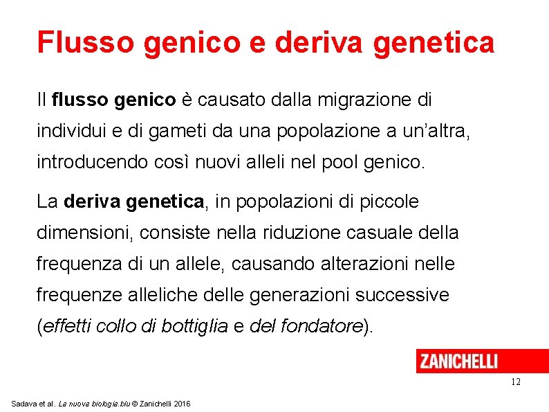 Flusso genico e deriva genetica Il flusso genico è causato dalla migrazione di individui