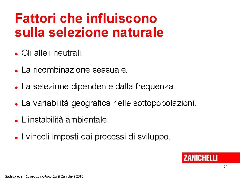 Fattori che influiscono sulla selezione naturale Gli alleli neutrali. La ricombinazione sessuale. La selezione