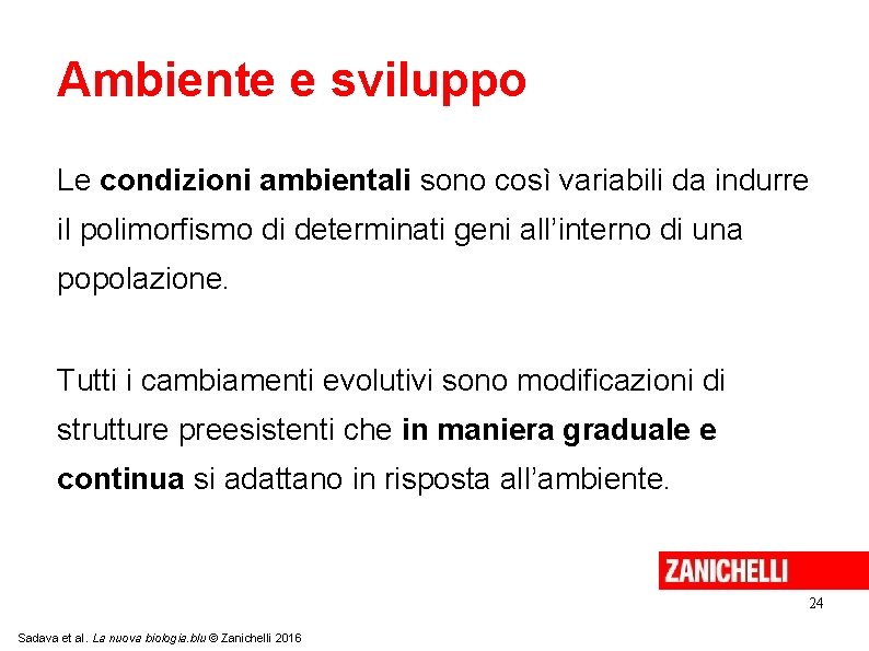 Ambiente e sviluppo Le condizioni ambientali sono così variabili da indurre il polimorfismo di