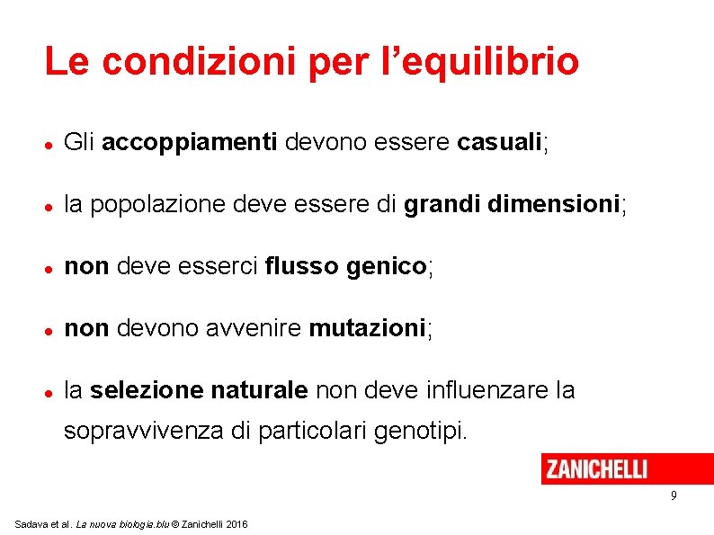 Le condizioni per l’equilibrio Gli accoppiamenti devono essere casuali; la popolazione deve essere di