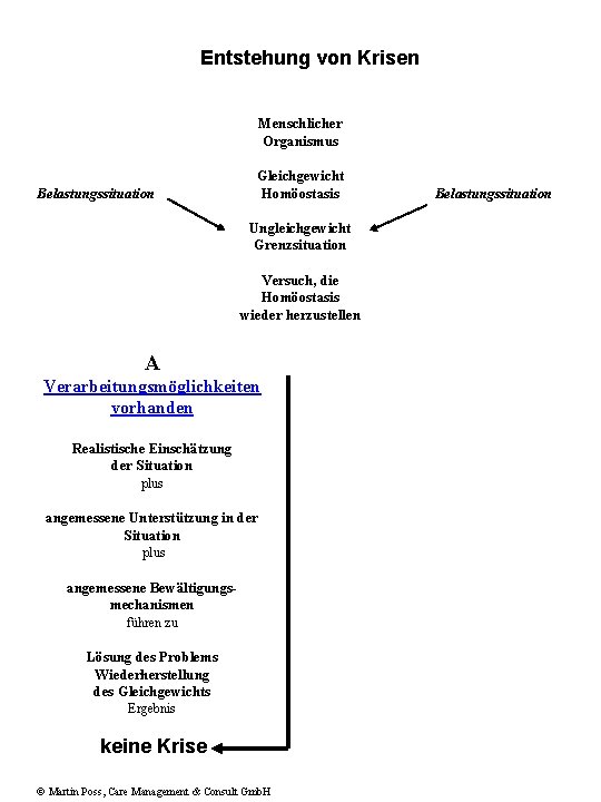 Entstehung von Krisen Keine Krise Menschlicher Organismus Belastungssituation Gleichgewicht Homöostasis Ungleichgewicht Grenzsituation Versuch, die