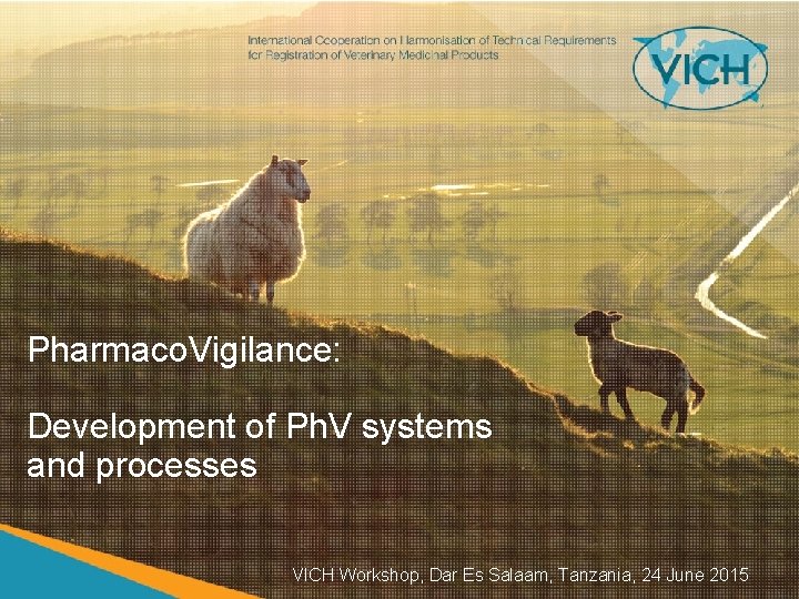 Pharmaco. Vigilance: Development of Ph. V systems and processes VICH Workshop, Dar Es Salaam,