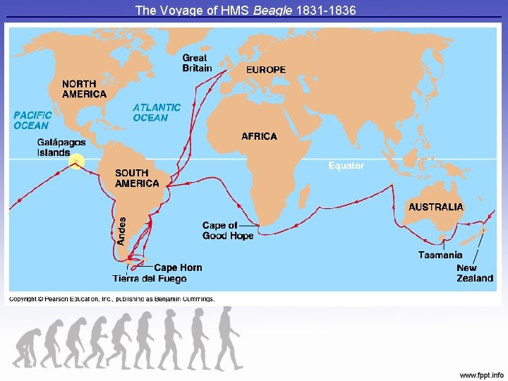 The Voyage of HMS Beagle 1831 -1836 