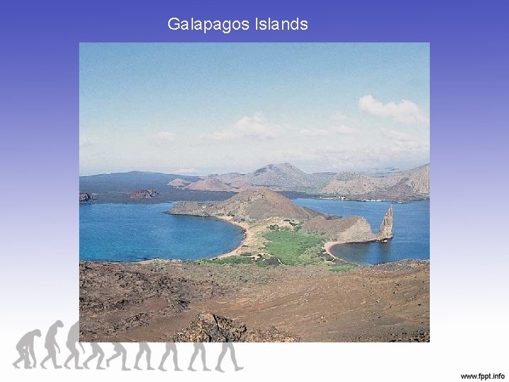 Galapagos Islands 