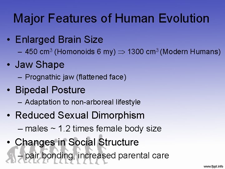 Major Features of Human Evolution • Enlarged Brain Size – 450 cm 3 (Homonoids