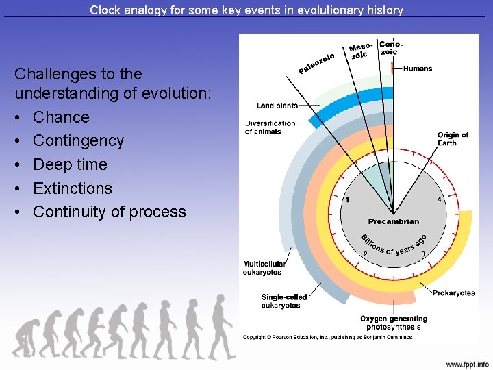 Clock analogy for some key events in evolutionary history Challenges to the understanding of