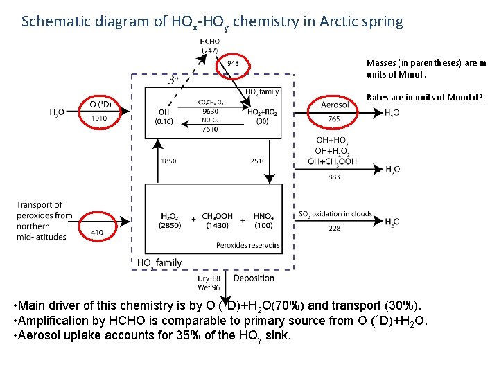 Schematic diagram of HOx-HOy chemistry in Arctic spring Masses (in parentheses) are in units