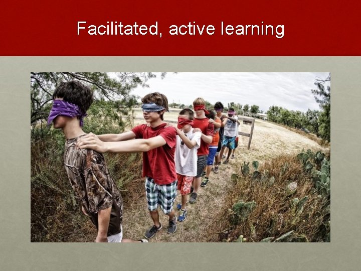 Facilitated, active learning 