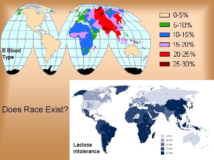  B Blood Type Does Race Exist? Lactose Intolerance 