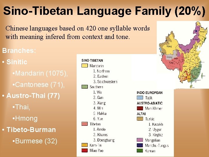 Sino-Tibetan Language Family (20%) Chinese languages based on 420 one syllable words with meaning