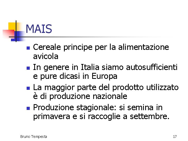 MAIS n n Cereale principe per la alimentazione avicola In genere in Italia siamo