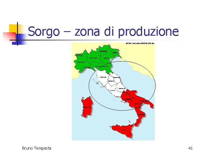 Sorgo – zona di produzione Bruno Tempesta 41 