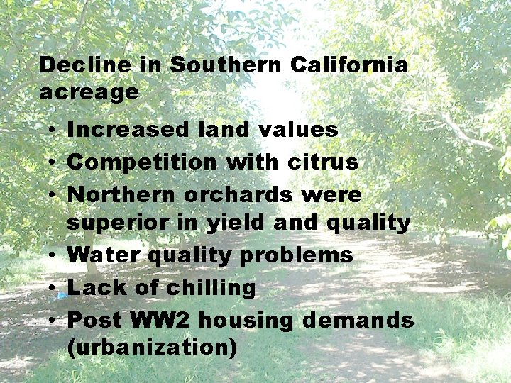 Decline in Southern California acreage • Increased land values • Competition with citrus •