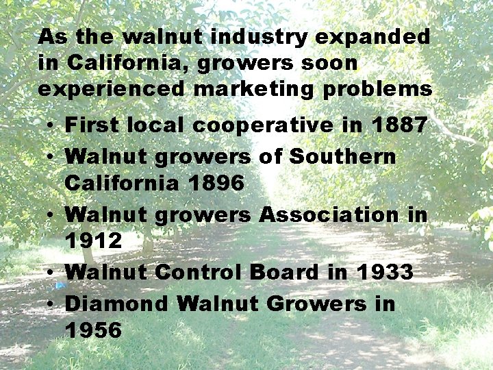 As the walnut industry expanded in California, growers soon experienced marketing problems • First