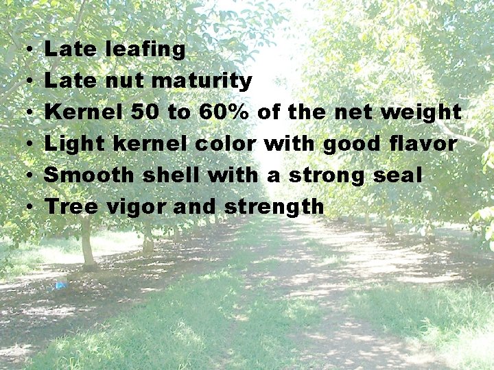  • • • Late leafing Late nut maturity Kernel 50 to 60% of