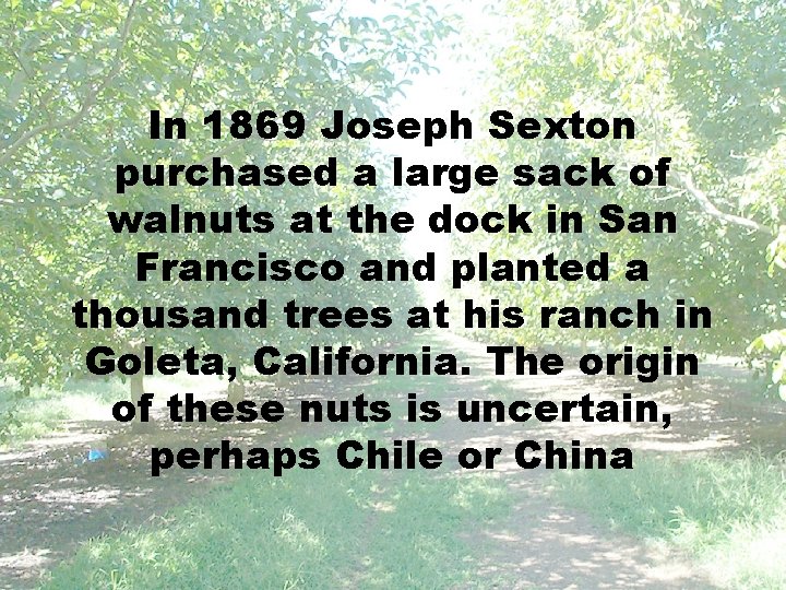 In 1869 Joseph Sexton purchased a large sack of walnuts at the dock in