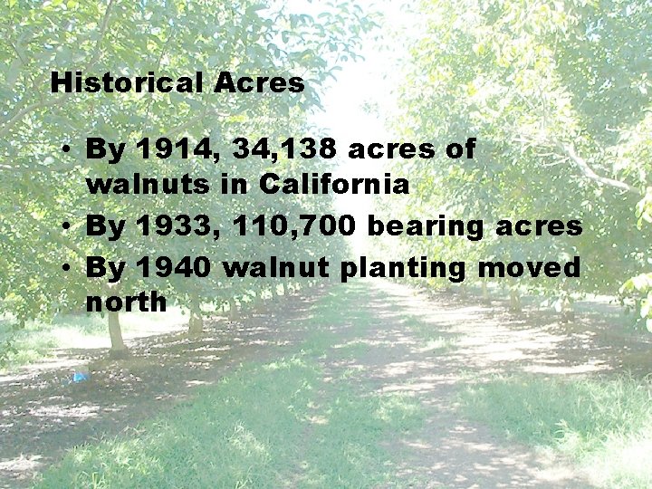 Historical Acres • By 1914, 34, 138 acres of walnuts in California • By