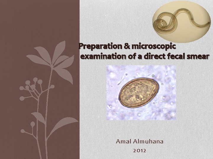 Preparation & microscopic examination of a direct fecal smear Amal Almuhana 2012 