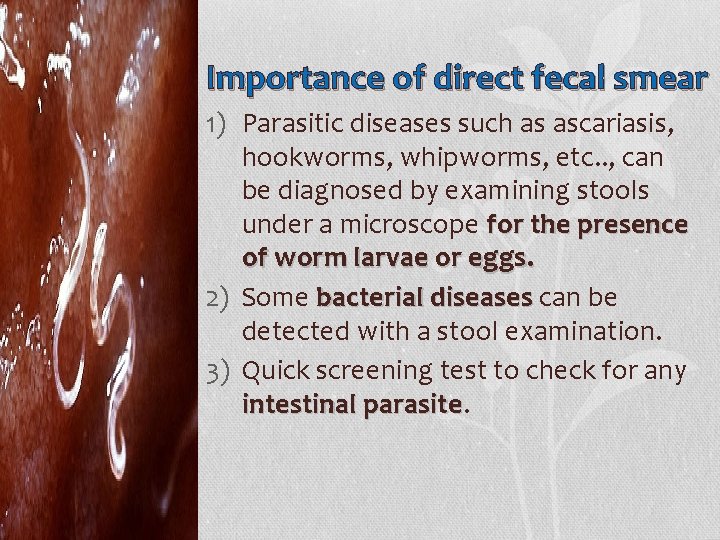 Importance of direct fecal smear 1) Parasitic diseases such as ascariasis, hookworms, whipworms, etc.