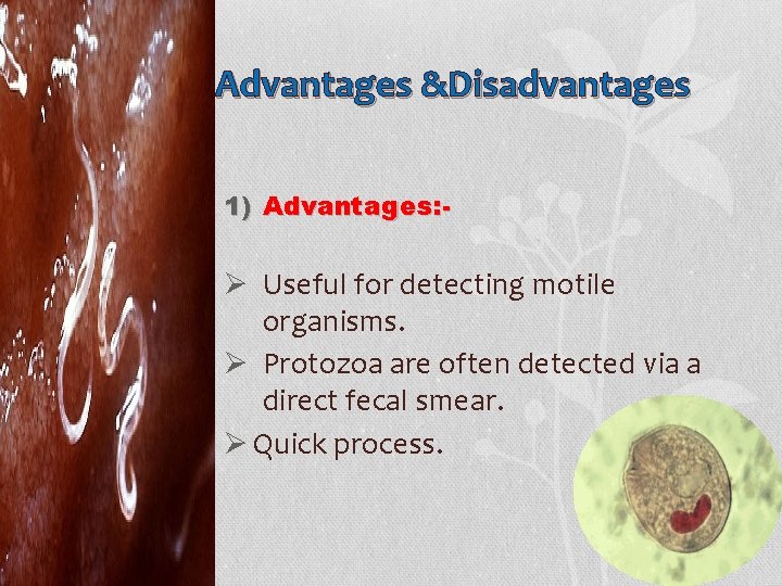 Advantages &Disadvantages 1) Advantages: - Ø Useful for detecting motile organisms. Ø Protozoa are