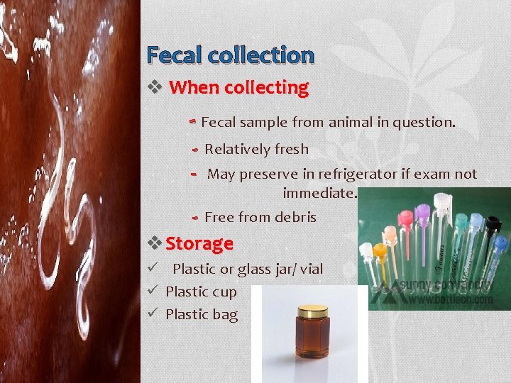 Fecal collection v When collecting - Fecal sample from animal in question. - Relatively