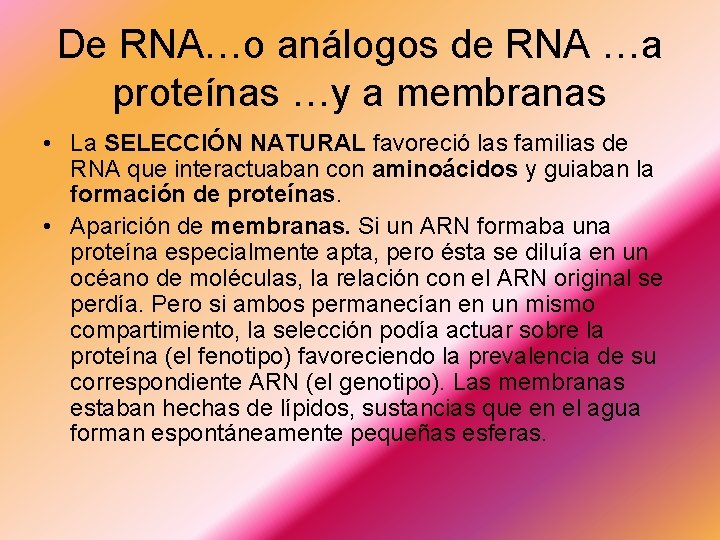 De RNA…o análogos de RNA …a proteínas …y a membranas • La SELECCIÓN NATURAL