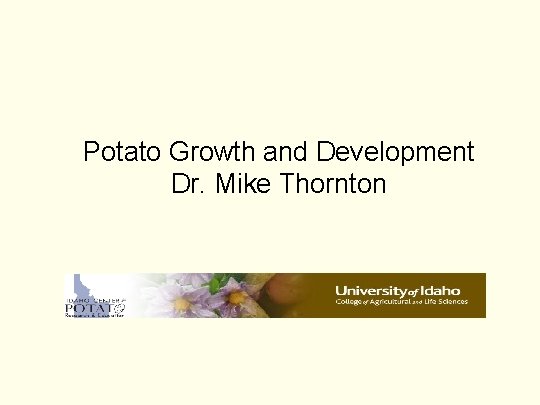 Potato Growth and Development Dr. Mike Thornton 
