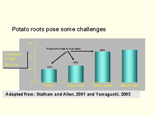 Potato roots pose some challenges Proportion that is root hairs 60% Total Root Length