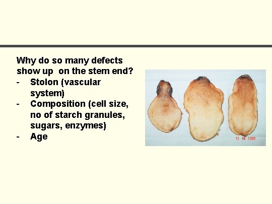 Why do so many defects show up on the stem end? - Stolon (vascular