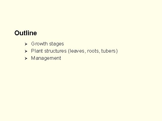 Outline Ø Ø Ø Growth stages Plant structures (leaves, roots, tubers) Management 