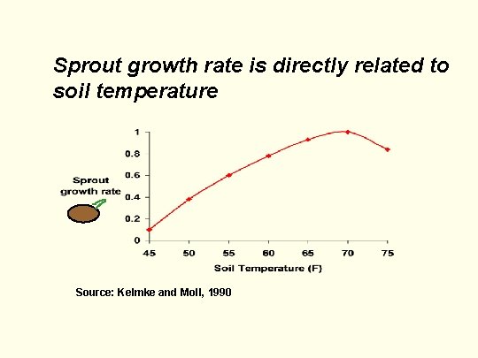 Sprout growth rate is directly related to soil temperature Source: Kelmke and Moll, 1990 Sprout growth rate is directly related to soil temperature Source: Kelmke and Moll, 1990