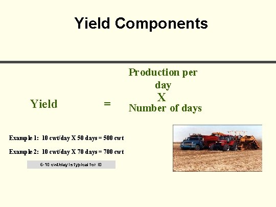 Yield Components Production per day Yield = Example 1: 10 cwt/day X 50 days