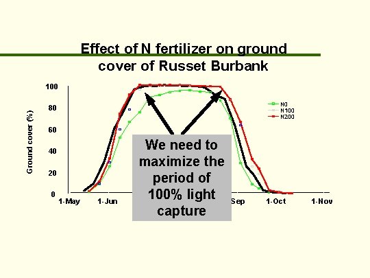 Effect of N fertilizer on ground cover of Russet Burbank Ground cover (%) 100