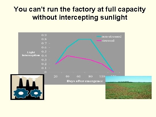 You can’t run the factory at full capacity without intercepting sunlight 