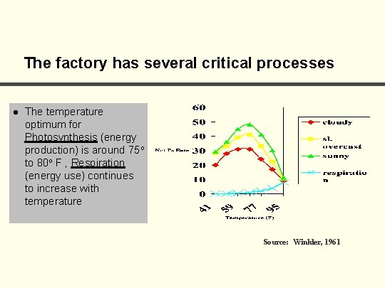 The factory has several critical processes l The temperature optimum for Photosynthesis (energy production)