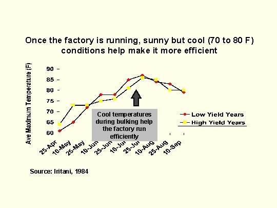 Once the factory is running, sunny but cool (70 to 80 F) conditions help