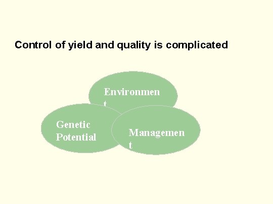 Control of yield and quality is complicated Environmen t Genetic Potential Managemen t 