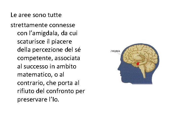 Le aree sono tutte strettamente connesse con l’amigdala, da cui scaturisce il piacere della